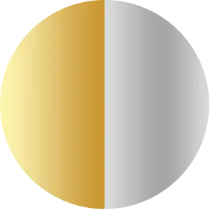 14-krt-bicolor-goud