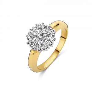 Bico Dubbel Entourage ring bolle scheen 0.35 crt H/Si | H -  Wesselton - Wit | 18.50