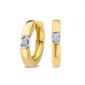 Bico Memoire oorsieraden 10mm  2 x 0.03 crt H/Si | H -  Wesselton - Wit | 0.00