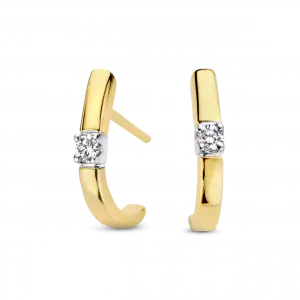 Bico Memoire oorsieraden 2 x 0.03 crt H/Si | H -  Wesselton - Wit | 0.00