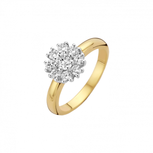 GG Enkel Entourage ring bolle scheen  0.17 crt H/Si | H -  Wesselton - Wit | 18.50