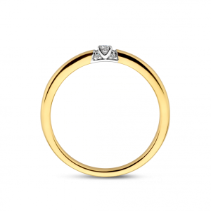 GG Memoire ring met zijstenen 1 x 0.05 crt H/Si totaal 0.06 crt | H -  Wesselton - Wit | 18.50