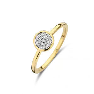 Bico Briljant ring Nova 0.08 crt H/Si rond