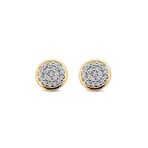 Bico Briljant oorsieraden Nova 2 x 0.075 crt H/Si rond