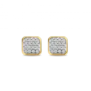 Bico Briljant oorsieraden Eden 2 x 0.07 crt H/Si vierkant