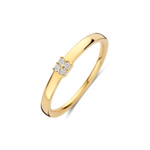 GG Briljant ring Nice 0.05 crt H/Si